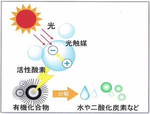 光触媒除甲醛.png